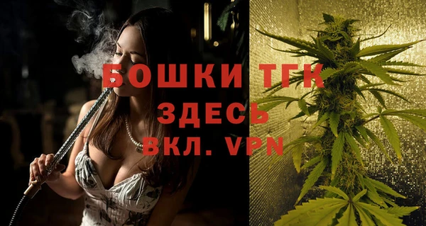 спиды Ельня