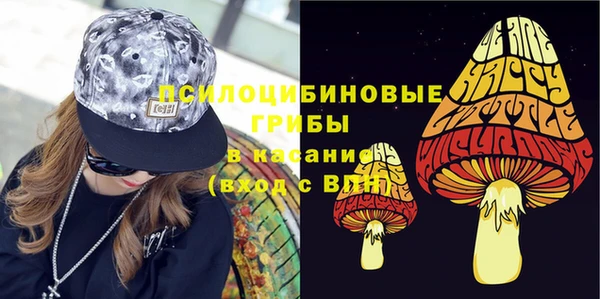 шишки Верхнеуральск